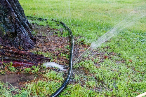 3 Ways To Troubleshoot Sprinkler Head Issues